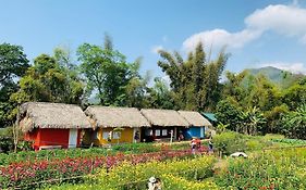 Luong Son Homestay